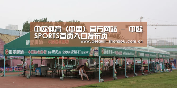 案例标题七