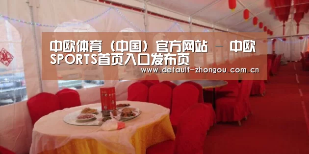 案例标题二