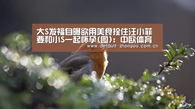 大S发福自曝欲用美食拴住汪小菲 要和小S一起怀孕(图):中欧体育官网入口,中欧体育官方下载,中欧体育平台(图3) 中欧体育官网入口,中欧体育官方下载,中欧体育平台