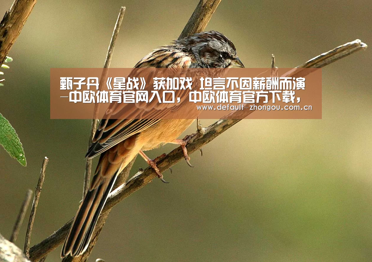 甄子丹《星战》获加戏 坦言不因薪酬而演-中欧体育官网入口,中欧体育官方下载,中欧体育平台
