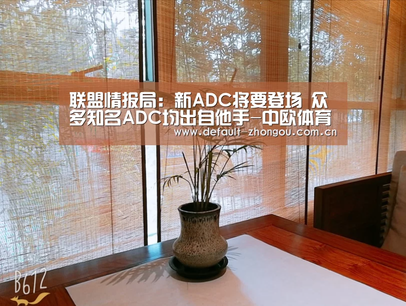 联盟情报局：新ADC将要登场 众多知名ADC均出自他手-中欧体育官网入口，中欧体育官方下载，中欧体育平台